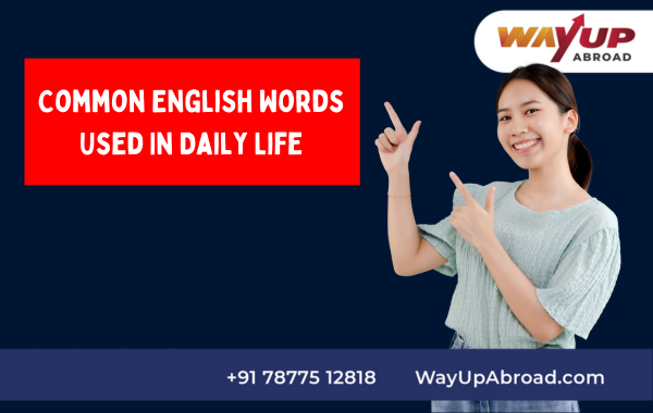 Most Common English Words Used in the Daily Life